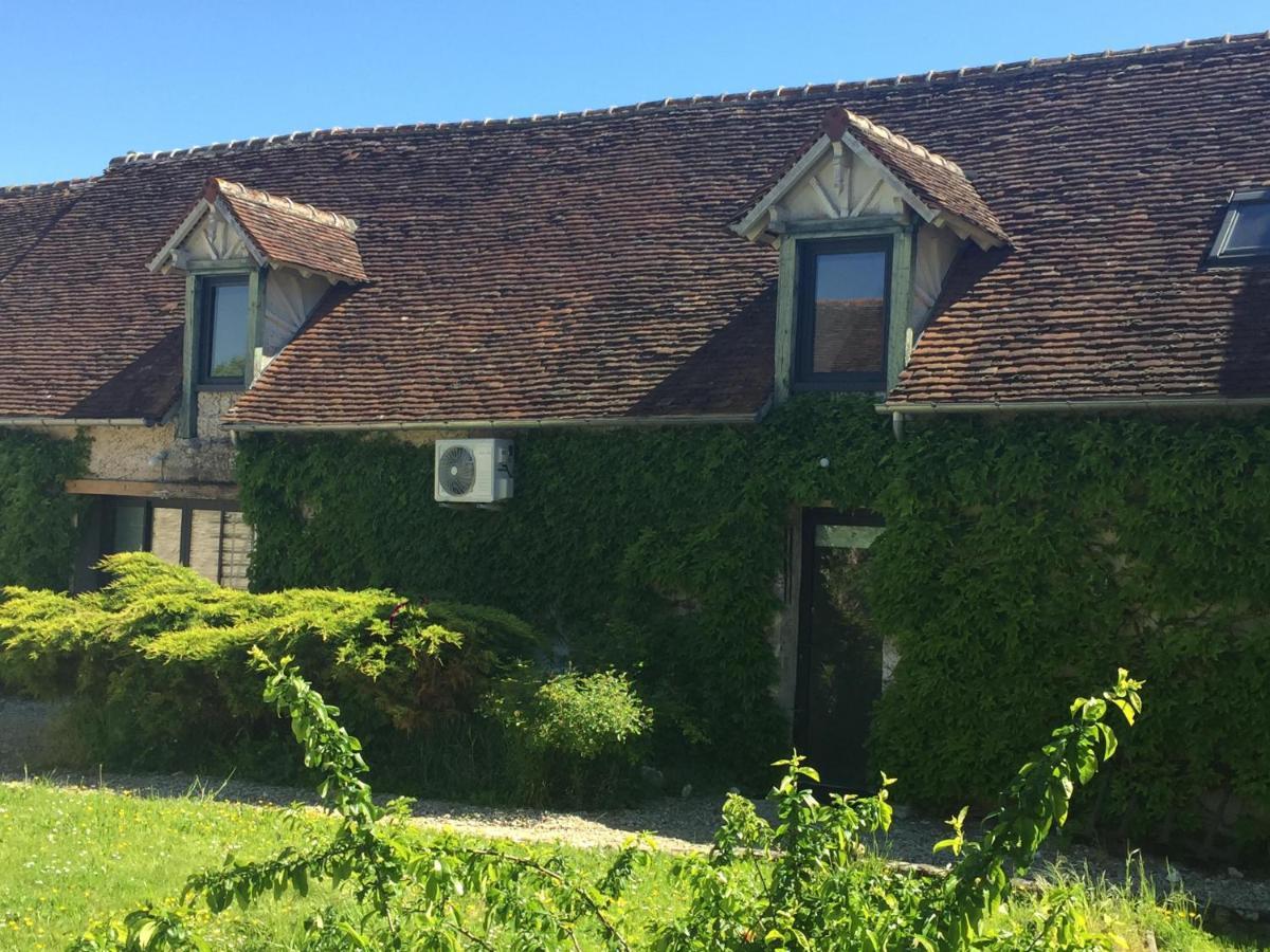 Un Figuier Dans Notre Jardin Villa Beaune-la-Rolande Rom bilde